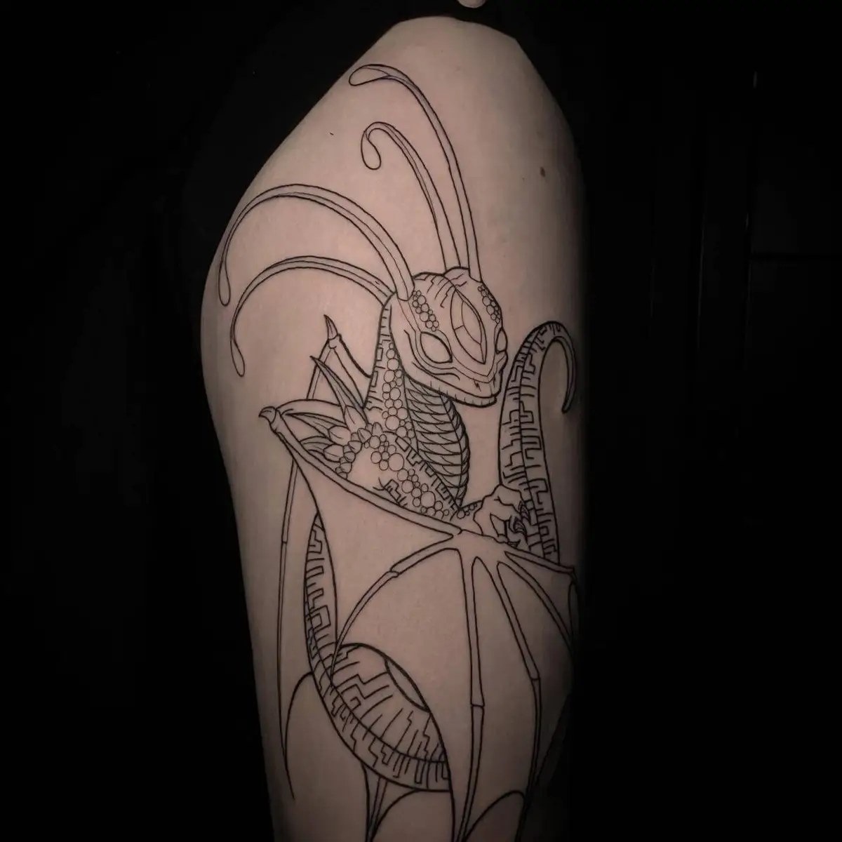 luna_ragequit_tattoo_zürich_003.webp - Image of Luna, Artist at Ragequit Tattoo Piercing Zurich